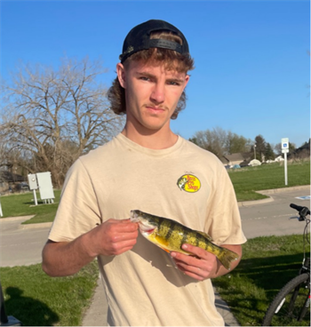 RYKER DOEBEL's Yellow Perch 12inch, 04-19-26