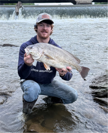 GAVYN BROWN's Freshwater Drum 25inch, 05-16-26