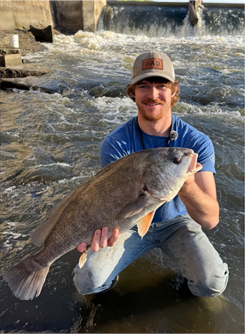GAVYN BROWN's Freshwater Drum 26inch, 05-16-26