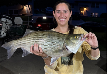 CASSIE UNDERWOOD's Wiper (Hybrid Striped Bass) 26inch, 05-15-26