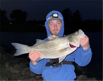 KODY LOWDER's Wiper (Hybrid Striped Bass) 26inch, 05-19-26