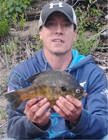Loren Leopard's Bluegill 11.5inch, 05-19-26