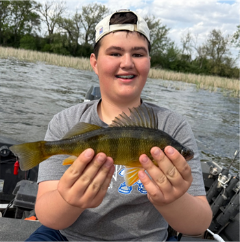 JAY NELSON's Yellow Perch 11.5inch, 05-21-26