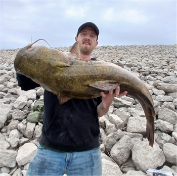 CURTIS JAHNKE's Flathead Catfish 39inch, 05-21-26