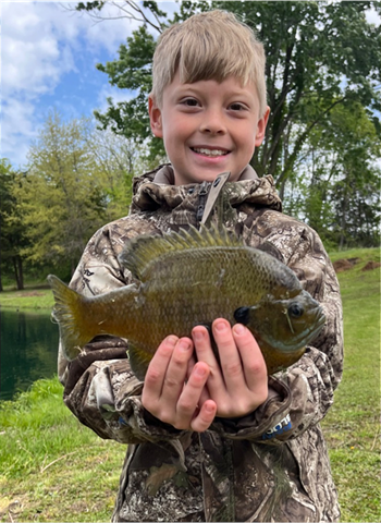 Elijah Estrada's Bluegill 10inch, 05-22-26