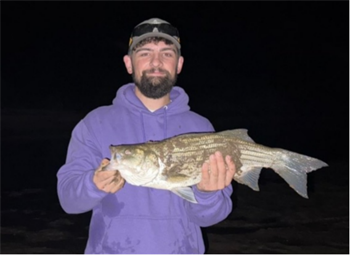 TAYLOR WOOD-BAYCH's Wiper (Hybrid Striped Bass) 24.5inch