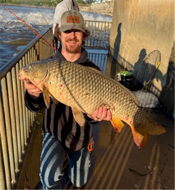 GAVYN BROWN's Common Carp 32.25inch