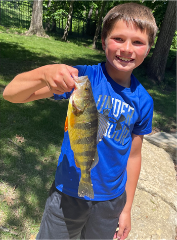 Blake Piller's Yellow Perch 12inch, 05-26-26