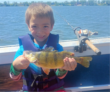 Koltin Myers's Yellow Perch 12.87inch, 05-24-26