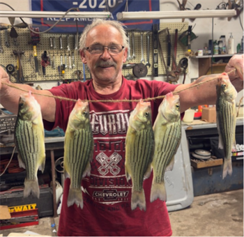 PAUL PRICHARD's Yellow Bass 10.25inch, 05-27-26