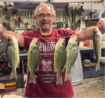 PAUL PRICHARD's Yellow Bass 10.5inch, 05-26-26