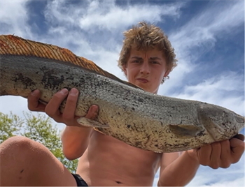 Walker Riggan's Bowfin 26inch, 05-29-26