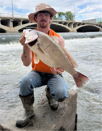GAVYN BROWN's Freshwater Drum 25.5inch, 05-29-26