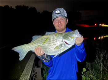 KODY LOWDER's Wiper (Hybrid Striped Bass) 26inch, 05-29-26