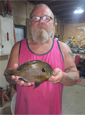 John Parson's Bluegill 11inch