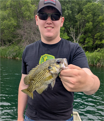 Ian Coe's Rock Bass 9.5inch, 05-31-26
