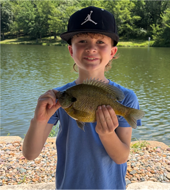 Bodhi Yuska's Bluegill 10inch