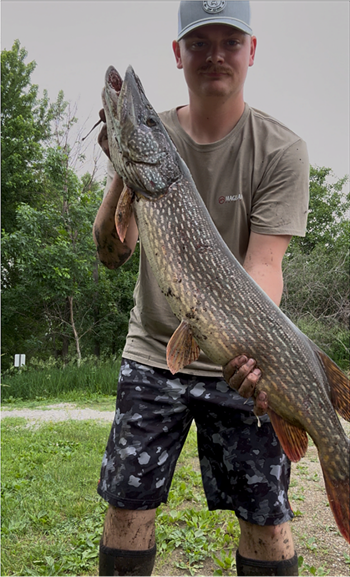 LEVI REUTZEL's Northern Pike 37.2inch, 06-04-26
