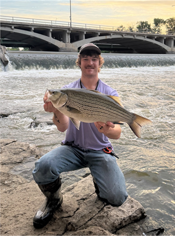 GAVYN BROWN's Wiper (Hybrid Striped Bass) 25inch, 06-07-26