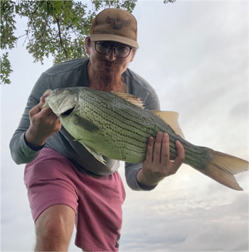 RYAN WILLIAMS's Wiper (Hybrid Striped Bass) 25inch, 06-07-26