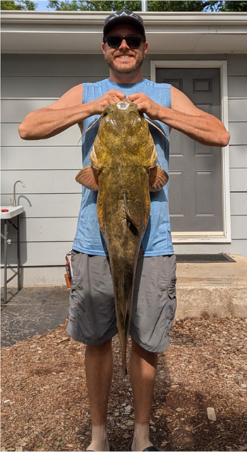 LEVI FREEBURY's Flathead Catfish 36.5inch, 06-09-26