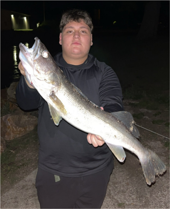 BRIAN RODAS's Walleye 27inch, 06-10-26