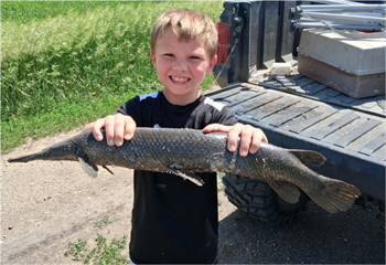 Titan Steinkamp's Shortnose gar 28inch, 06-13-26