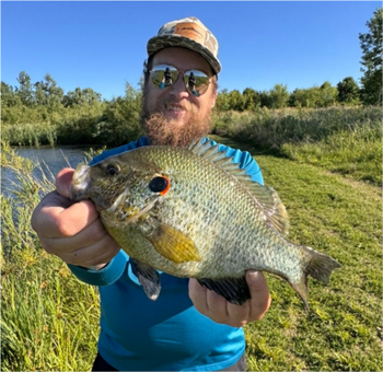 CONNOR GRODZICKI's Redear Sunfish 11.25inch, 06-14-26