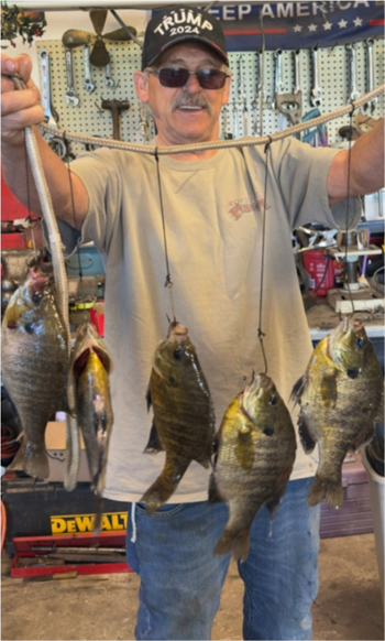PAUL PRICHARD's Bluegill 10.25inch, 06-16-26
