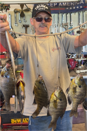 PAUL PRICHARD's Bluegill 10.15inch, 06-16-26
