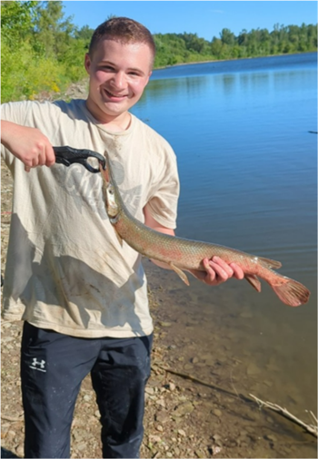 Jackson Shute's Shortnose gar 28.5inch, 06-14-26