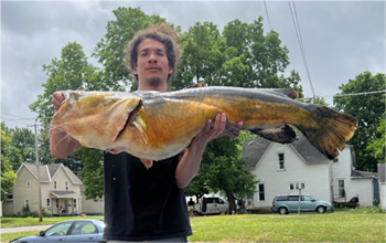WILLIE VEAL's Flathead Catfish 45.5inch
