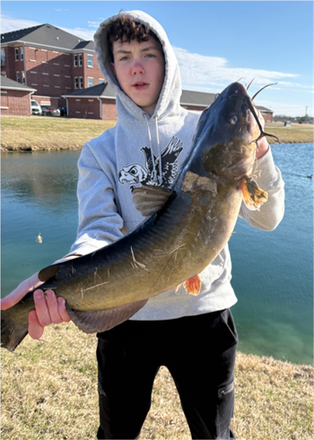 Ramsey Ragland's Channel Catfish 31inch, 06-19-26