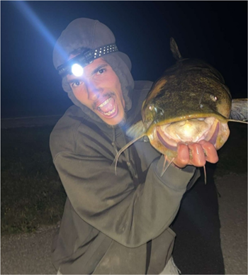 WILLIE VEAL's Flathead Catfish 37.75inch