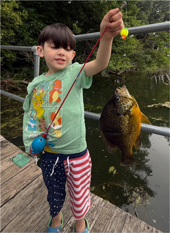 Michael Anderson's Pumpkinseed 9.12inch, 06-21-26