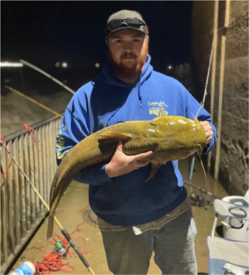 KAIDON JONES's Flathead Catfish 36inch, 06-22-26