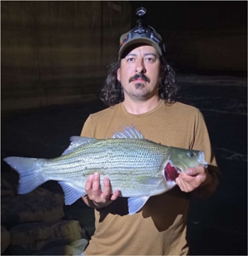 ALEX LIENDO's Wiper (Hybrid Striped Bass) 27inch, 06-26-26