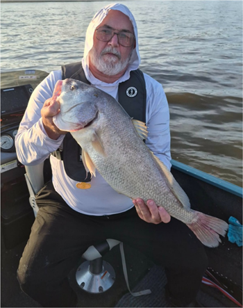 Robert Doerres's Freshwater Drum 27inch, 06-29-26
