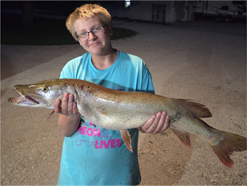 Alan Schneider's Northern Pike 37.5inch, 06-25-26