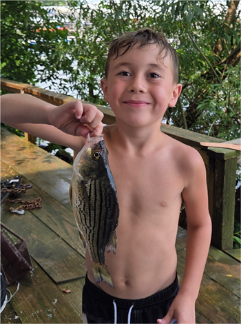 Ryder Rainey's Yellow Bass 11inch, 07-01-26