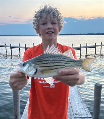 Oliver Peterson's Yellow Bass 11.5inch, 07-02-26
