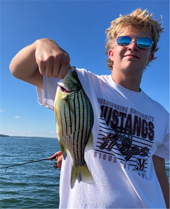 SAMUEL NABER's Yellow Bass 12inch