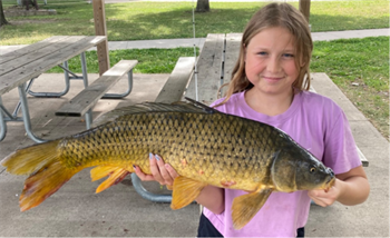 Avery Schmeling's Common Carp 32inch, 06-28-26