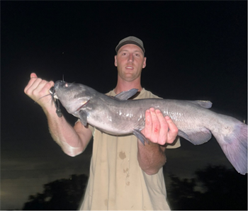 NATHAN GEHRING's Channel Catfish 31inch, 07-09-26