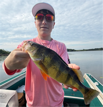 MASON ROSE's Yellow Perch 13inch, 07-12-26