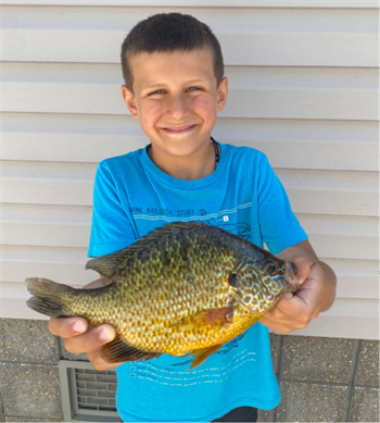 JAYSIK GINGERICH's Pumpkinseed 9inch, 07-12-26
