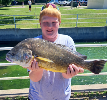 Grady Dagel's Freshwater Drum 26.5inch, 07-11-26
