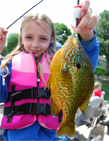 Rachel Huston's Pumpkinseed 9.25inch, 06-13-26
