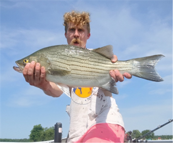 Caden Hudson's Wiper (Hybrid Striped Bass) 24inch, 07-18-26
