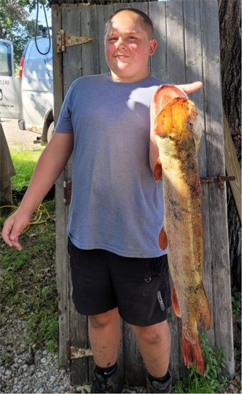 RONALD REEFER's Northern Pike 35.5inch, 07-18-26